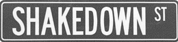 Shakedown Street trademark application 99305631 by Florida trademark attorney